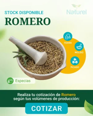 Romero