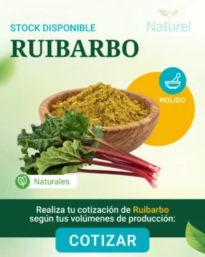 Ruibarbo
