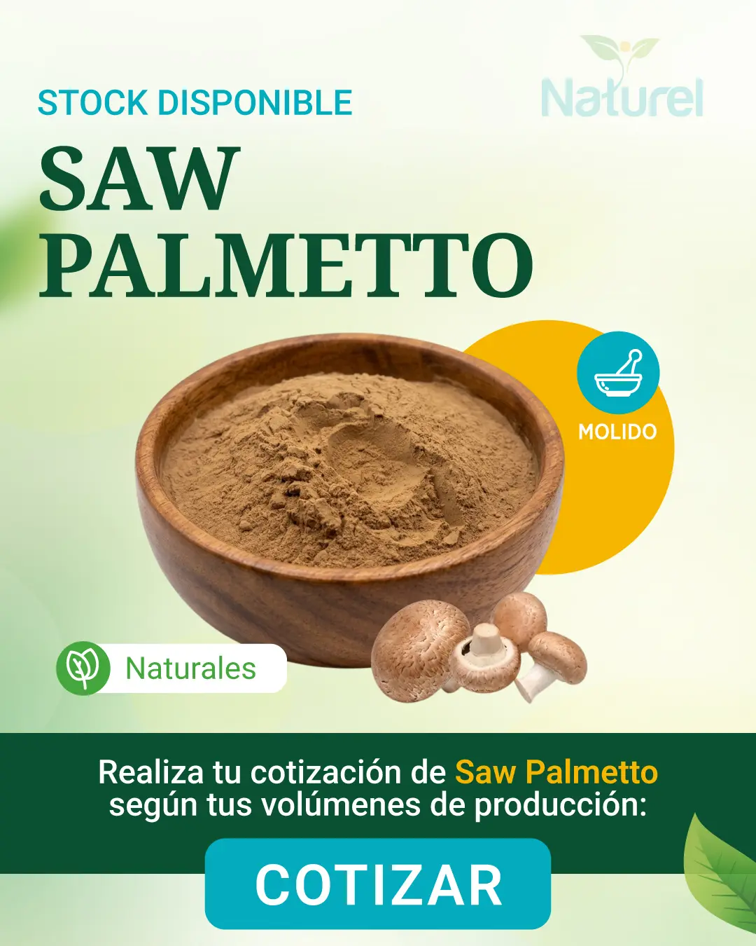 Saw Palmetto