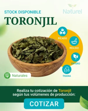 Toronjil