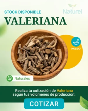 Valeriana