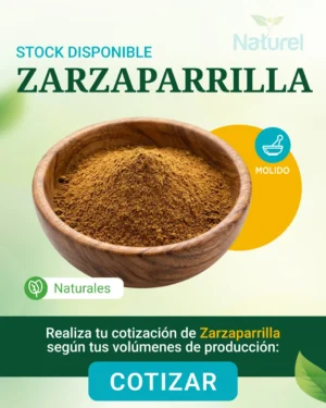 Zarzaparrilla